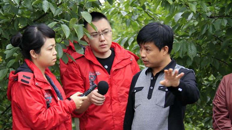 “海外拍卖”骗局:估计数百万个场景都是“儿童保育”