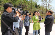 对疫情反弹的担忧将金价推高至八年高点